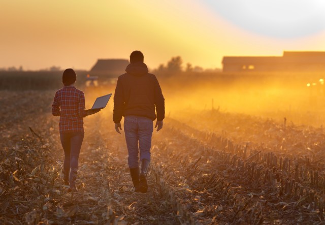 Discover the Benefits of Farm Stays: A Unique Vacation Experience
