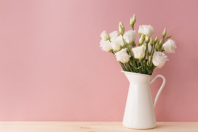 The Ultimate Guide: Tips for Growing Healthy Roses